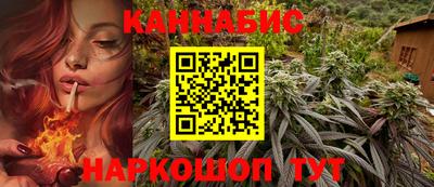 Альфа ПВП Ливны