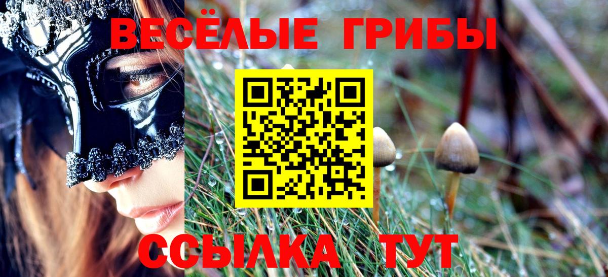 Галлюциногенные грибы Psilocybine cubensis Сегежа