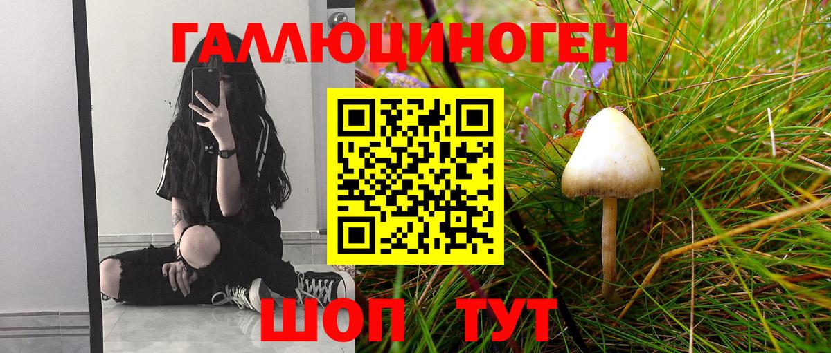 Галлюциногенные грибы Cubensis  Галлюциногенные грибы MAGIC MUSHROOMS  Сегежа  как найти наркотики  Вход с VPN 